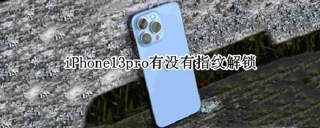 iPhone13pro有没有指纹解锁 iphone13pro有指纹锁吗