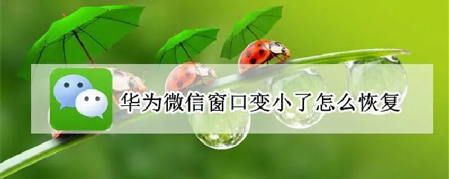华为微信窗口变小了怎么恢复 华为手机微信聊天框变小了怎么恢复