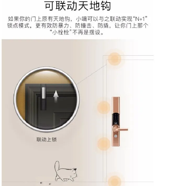 德施曼T86指纹锁是假插芯吗