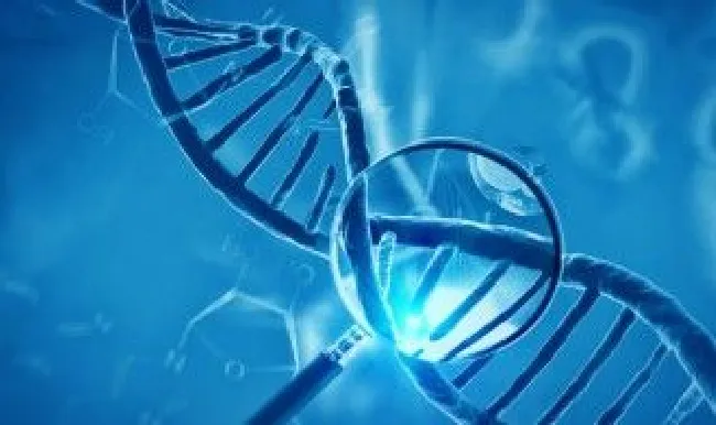 什么是基因工程技术? 基因工程技术介绍