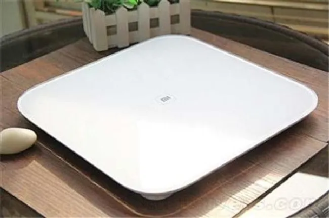 为什么饭前和饭后称量的体重没有变化