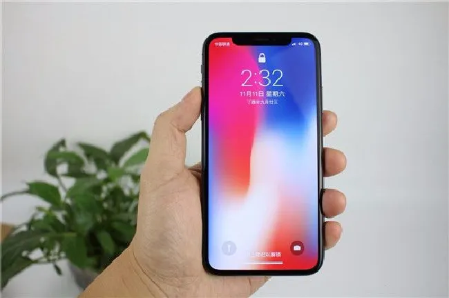 手机刘海屏是什么意思