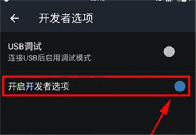 一加6开发者选项设置方法