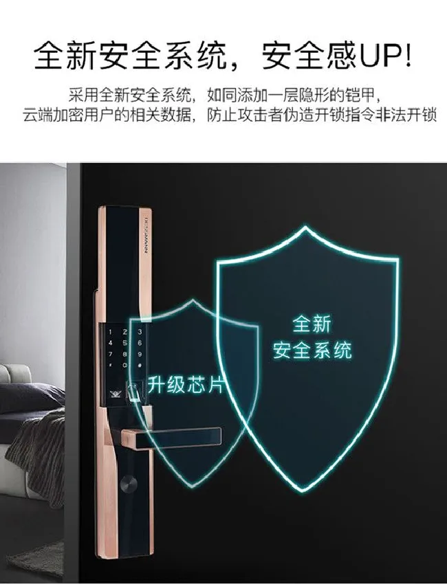 德施曼D830指纹锁怎么样
