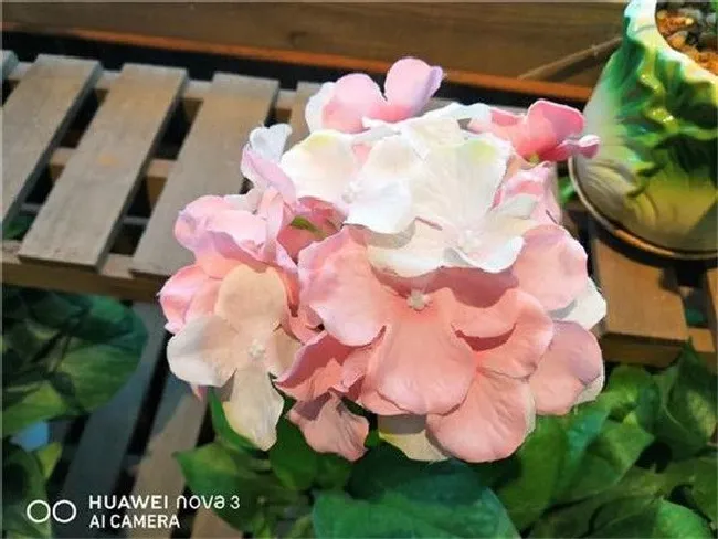 华为nova3拍照怎么样