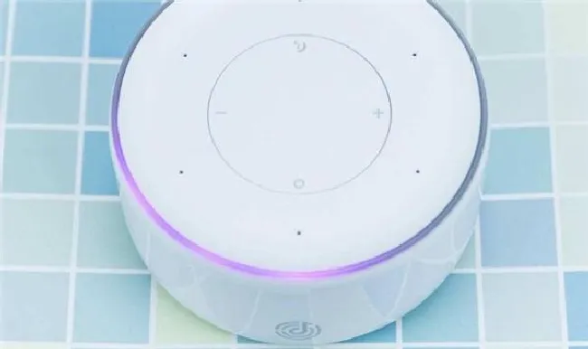 叮咚mini2可以连接电脑吗