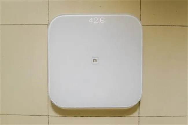 为什么饭前和饭后称量的体重没有变化