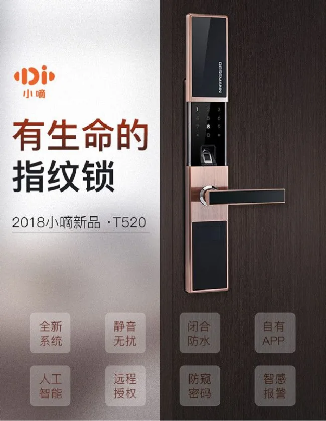 德施曼T520指纹锁有什么特点