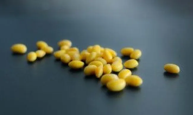 黄豆炒咸菜如何做 家常菜黄豆炒咸菜的方法