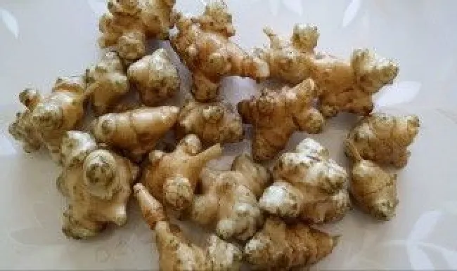 洋子姜腌制方法 家庭腌制洋子姜的方法