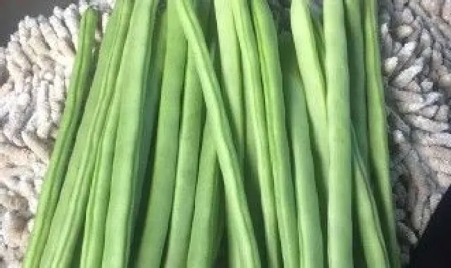 四季豆不可以和什么一起吃 四季豆不能和什么一起吃