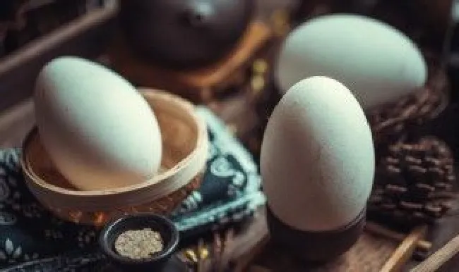 简单的煮蛋方法 简单的煮蛋方法推荐