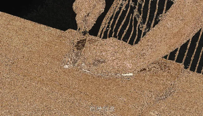百叶蒸咸肉香肠 百叶蒸咸肉香肠怎么做好吃