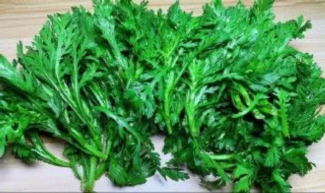 茼蒿的制作方法 3种茼蒿的吃法