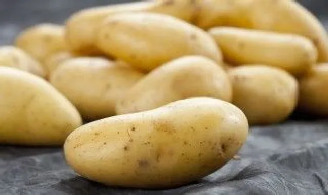 土豆保养的方法 土豆怎么保养才不烂
