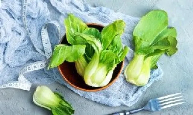 糖菜和油菜的区别 糖菜和油菜一样吗