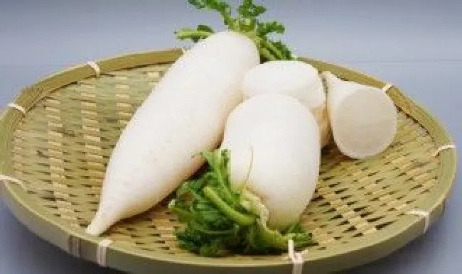 萝卜发黑是什么原因可以吃吗 萝卜发黑了还能吃吗黑为什么