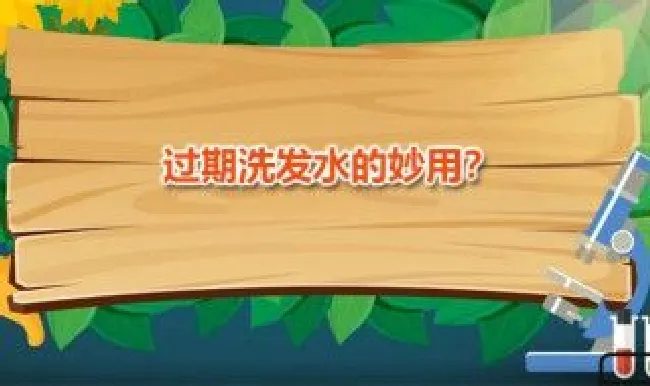 过期洗发水的妙用 过期洗发水妙用100招数