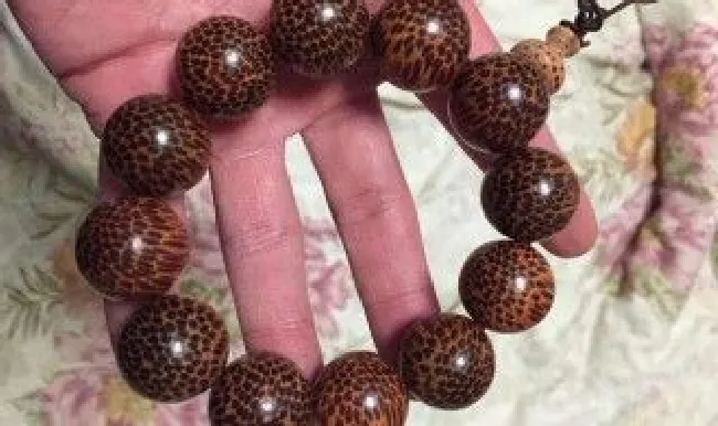 龙血木放微波炉里加热可以吗