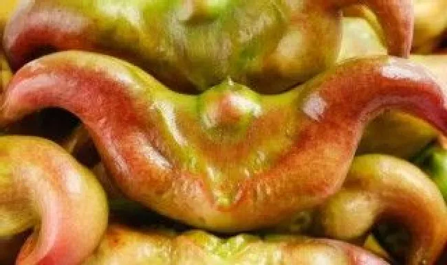 生菱角的保存方法 生菱角怎么保存方法