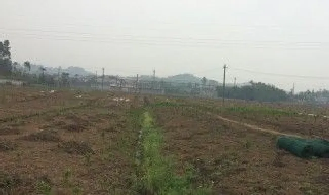 农村实用的灌溉方法（农村灌溉项目怎么做）