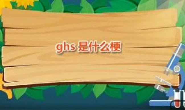 ghs是什么梗