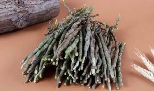 新鲜的铁皮石斛夏季保存方法 铁皮石斛的贮存方法