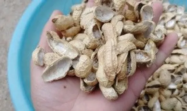 去花生壳最好的方法（怎样去花生壳）