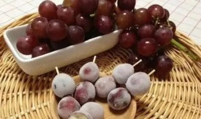 葡萄可以放冰箱冷藏吗（葡萄能放冰箱冷藏）
