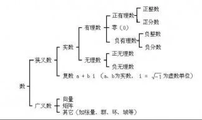 数的分类? 数的分类结构图