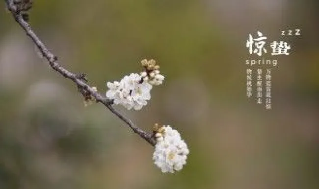 惊蛰前打雷都有些什么说法 惊蛰前打雷好不好