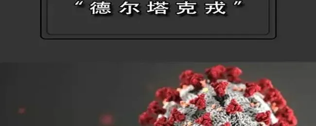 什么叫德尔塔 什么叫德尔塔毒蛛