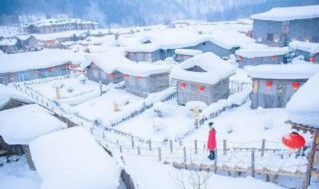 雪花为什么有各种形状 雪花为什么是有形状的