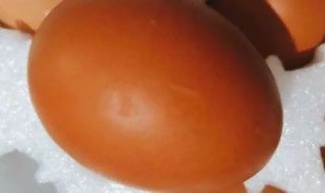 烧水壶能煮鸡蛋吗（烧水壶能煮鸡蛋吗视频）