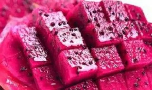 火龙果水果保鲜的方法（火龙果保鲜妙招）