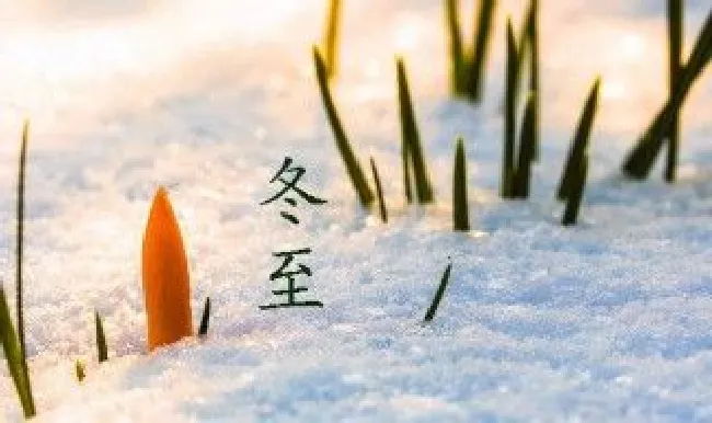 冬至是几号 2022年冬至是几号