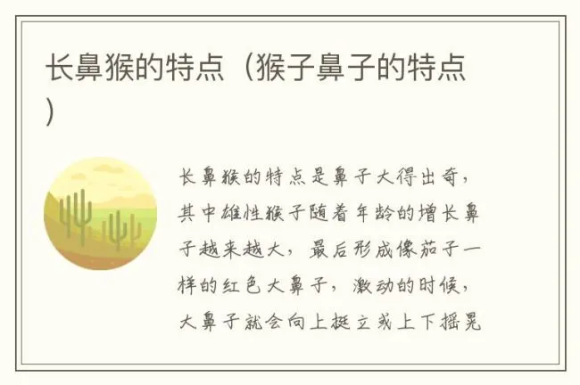 长鼻猴的特点（猴子鼻子的特点）