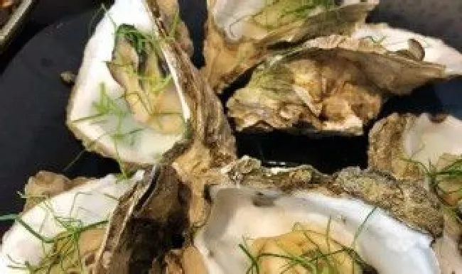 清蒸生蚝里有寄生虫吗（清蒸生蚝里有寄生虫吗）