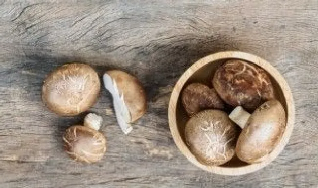 干香菇保质期多长时间 干香菇保质期多长时间啊