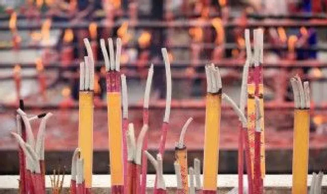 坟头最怕埋什么 坟头上长什么草出大官