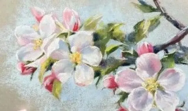 色粉画保存方法（色粉笔画怎么保存）