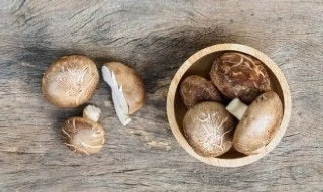 香菇能放冰箱保存吗（香菇能放冰箱保存吗冬天）