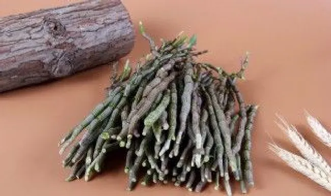石斛好栽培方法（石斛好栽培方法有哪些）