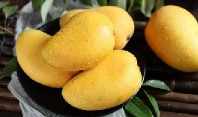 已经成熟的芒果可以放冰箱吗?如何保存? 成熟的芒果冰箱保存好不好