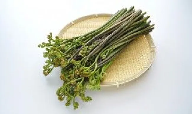 鲜蕨菜怎么去除苦味 鲜蕨菜怎么去除苦味窍门