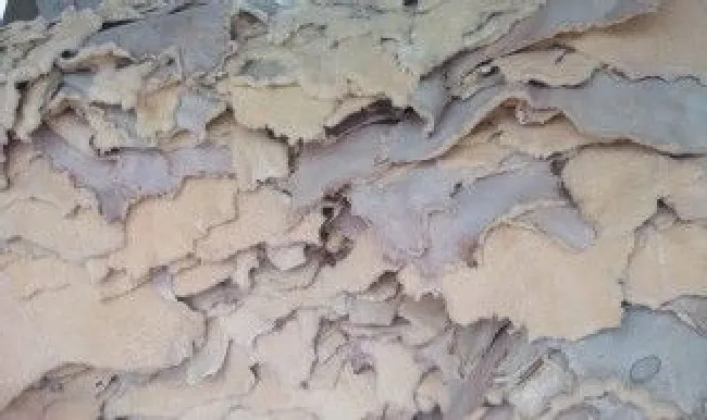熟羊皮的保存方法 熟羊皮的方法和用料