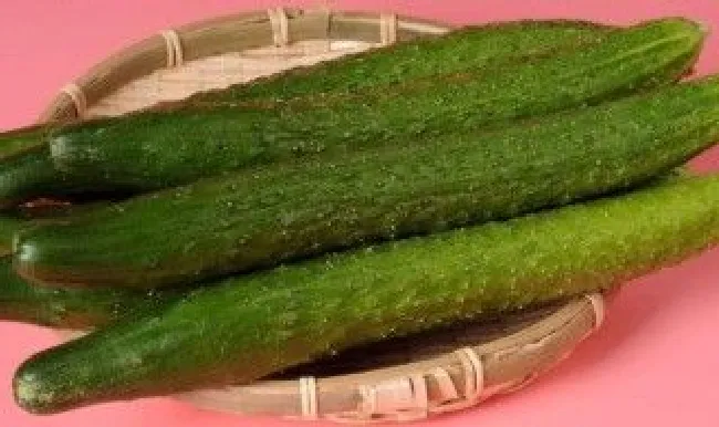 黄瓜的保存方法（黄瓜的保存方法有哪些）