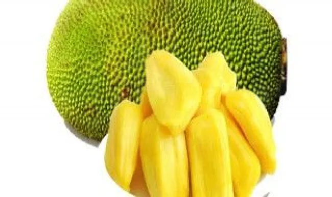 哪些水果大量保鲜时间长 哪些水果大量保鲜时间长点