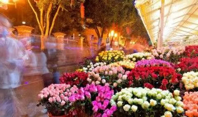 花店鲜花如何保鲜（花店鲜花如何保鲜教程视频）