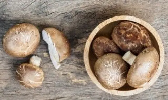 香菇可以放冰箱吗（煮熟的香菇可以放冰箱吗）